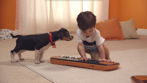 actu_26359_vignette_alaune