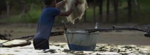 actu_26399_vignette_alaune actu_26399_vignette_alaune