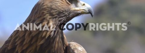 actu_26503_vignette_alaune actu_26503_vignette_alaune