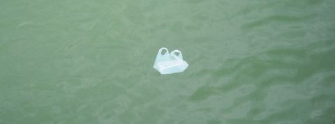 actu_26531_vignette_alaune actu_26531_vignette_alaune