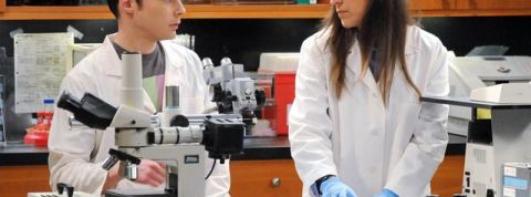 actu_26648_vignette_alaune actu_26648_vignette_alaune