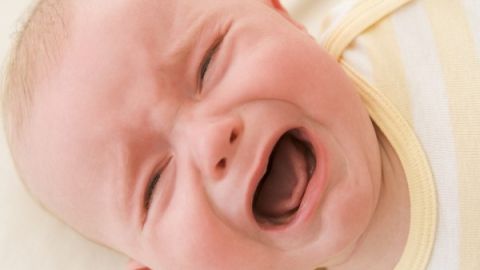 actu_26651_vignette_alaune