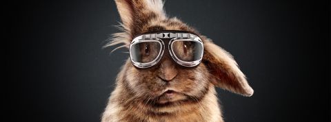 actu_26671_vignette_alaune actu_26671_vignette_alaune