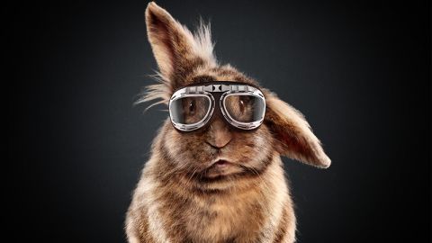 actu_26671_vignette_alaune