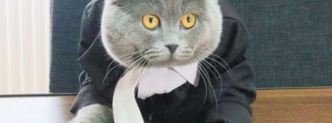 actu_26782_vignette_alaune actu_26782_vignette_alaune