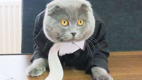 actu_26782_vignette_alaune