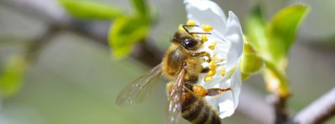 actu_26812_vignette_alaune actu_26812_vignette_alaune