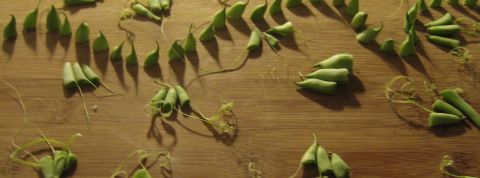 actu_26879_vignette_alaune actu_26879_vignette_alaune