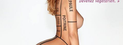 actu_26903_vignette_alaune actu_26903_vignette_alaune