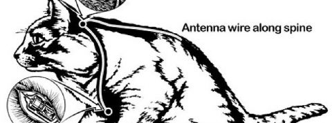 actu_27091_vignette_alaune actu_27091_vignette_alaune