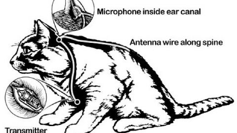 actu_27091_vignette_alaune