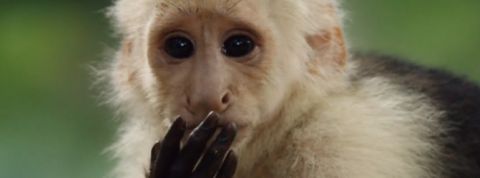 actu_27321_vignette_alaune actu_27321_vignette_alaune