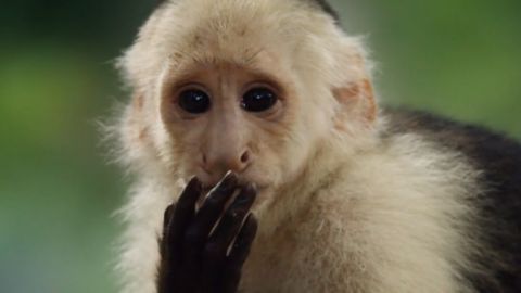 actu_27321_vignette_alaune