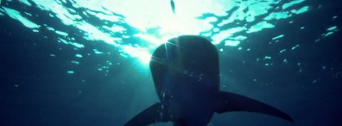 actu_27340_vignette_alaune actu_27340_vignette_alaune