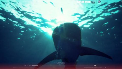 actu_27340_vignette_alaune