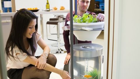 actu_27363_vignette_alaune