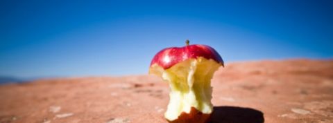 actu_27376_vignette_alaune actu_27376_vignette_alaune