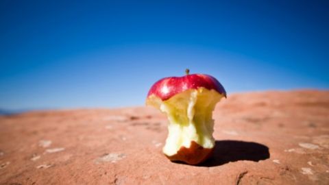 actu_27376_vignette_alaune