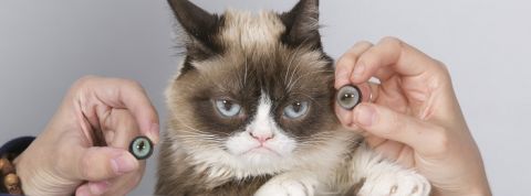 actu_27420_vignette_alaune actu_27420_vignette_alaune