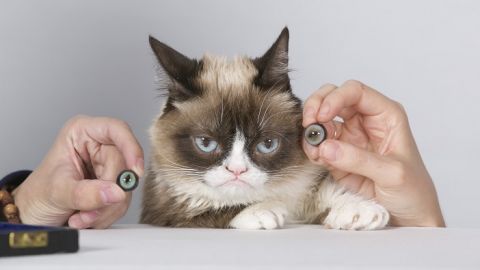 actu_27420_vignette_alaune