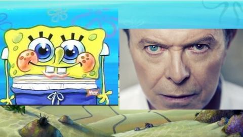 actu_27490_vignette_alaune