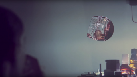 actu_27584_vignette_alaune