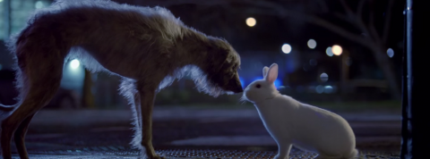 actu_27585_vignette_alaune actu_27585_vignette_alaune