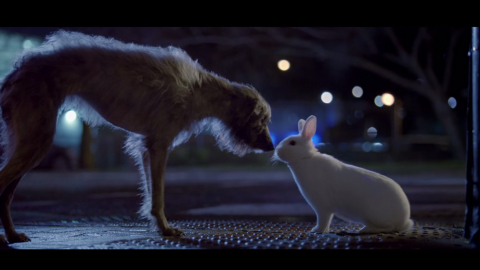 actu_27585_vignette_alaune