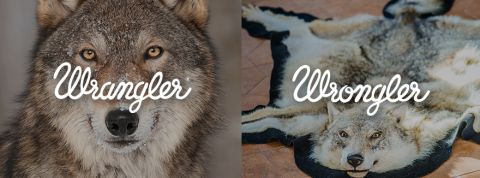 actu_27611_vignette_alaune actu_27611_vignette_alaune