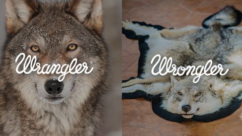 actu_27611_vignette_alaune