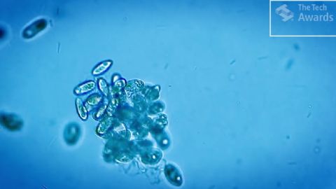 actu_27844_vignette_alaune