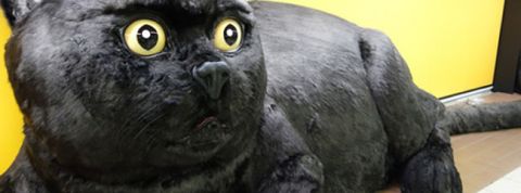 actu_27981_vignette_alaune actu_27981_vignette_alaune