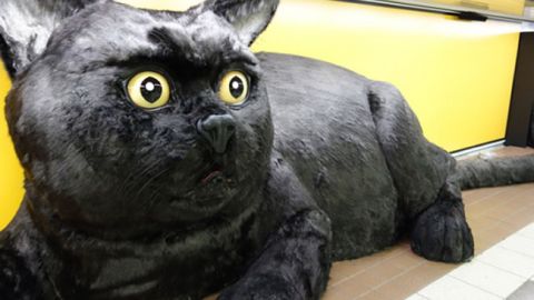 actu_27981_vignette_alaune