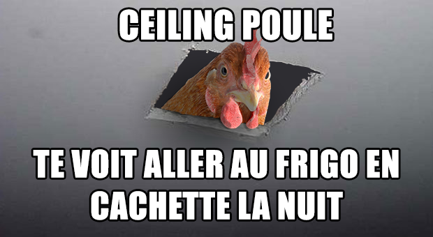 actu_28102_vignette_alaune actu_28102_vignette_alaune