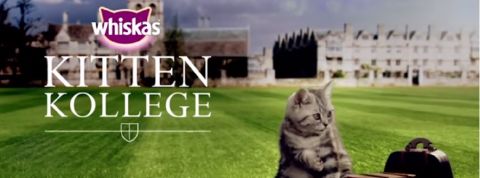 actu_28108_vignette_alaune actu_28108_vignette_alaune