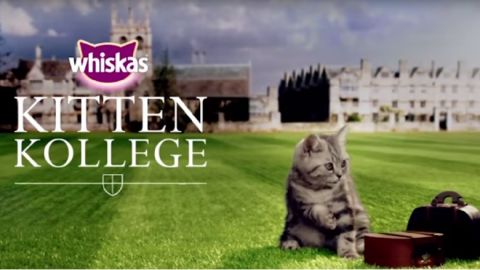 actu_28108_vignette_alaune