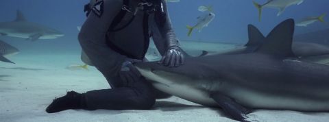 actu_28126_vignette_alaune actu_28126_vignette_alaune