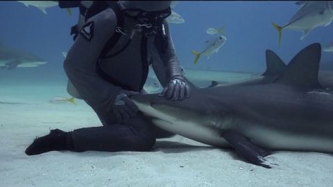 actu_28126_vignette_alaune