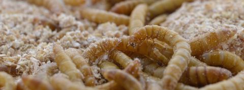 actu_28198_vignette_alaune actu_28198_vignette_alaune