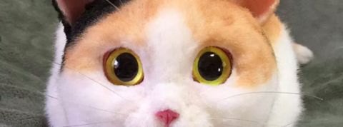 actu_28266_vignette_alaune actu_28266_vignette_alaune