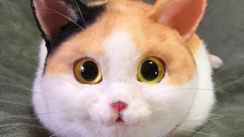 actu_28266_vignette_alaune