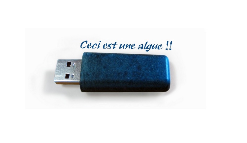 actu_28290_vignette_alaune actu_28290_vignette_alaune