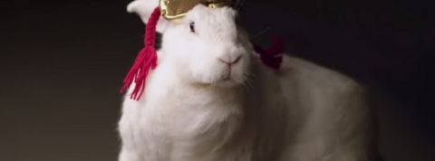 actu_28379_vignette_alaune actu_28379_vignette_alaune