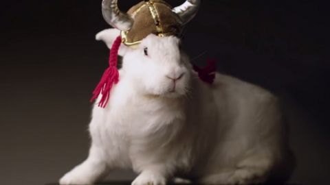 actu_28379_vignette_alaune