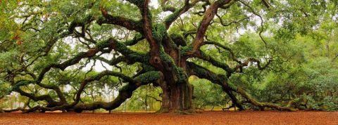 actu_28424_vignette_alaune actu_28424_vignette_alaune