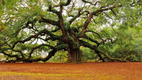 actu_28424_vignette_alaune