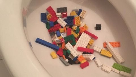 actu_28429_vignette_alaune