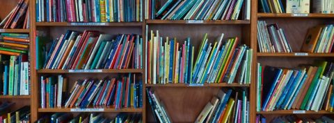 actu_28454_vignette_alaune actu_28454_vignette_alaune