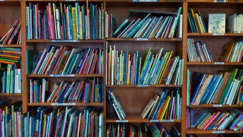 actu_28454_vignette_alaune