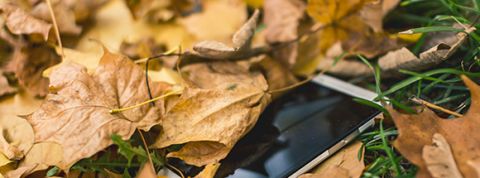 actu_28499_vignette_alaune actu_28499_vignette_alaune